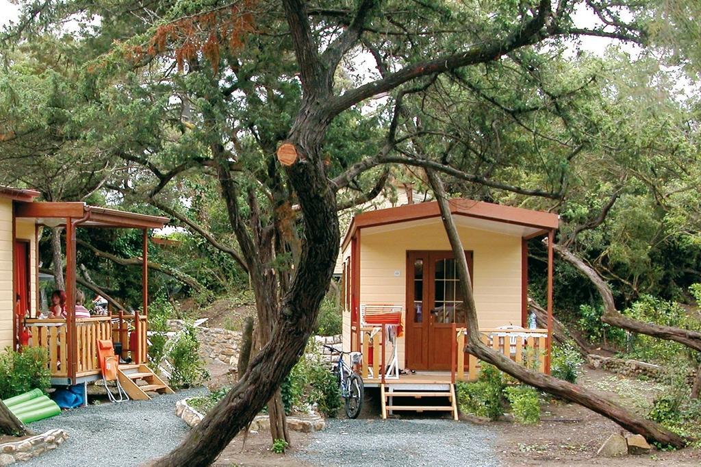 Le Esperidi Camping Ecoresort Marina Di Bibbona Pokój zdjęcie