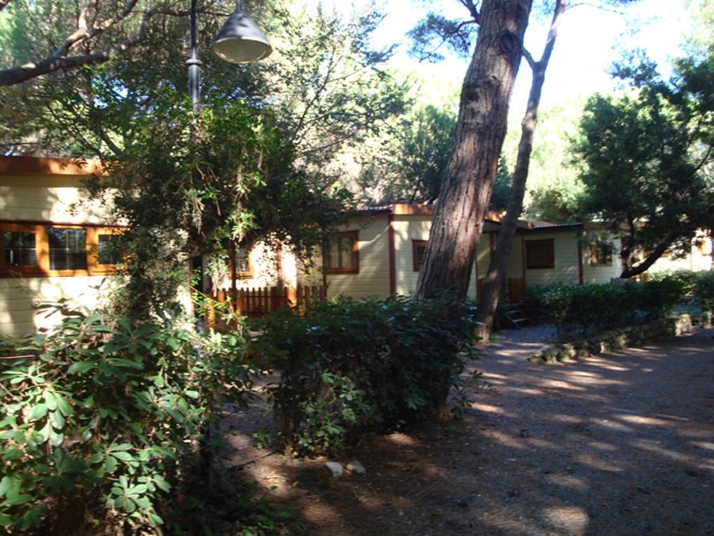 Le Esperidi Camping Ecoresort Marina Di Bibbona Zewnętrze zdjęcie