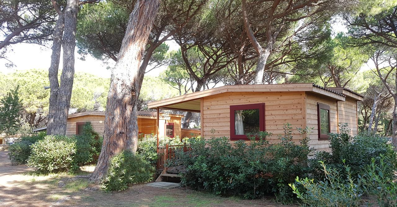 Le Esperidi Camping Ecoresort Marina Di Bibbona Zewnętrze zdjęcie