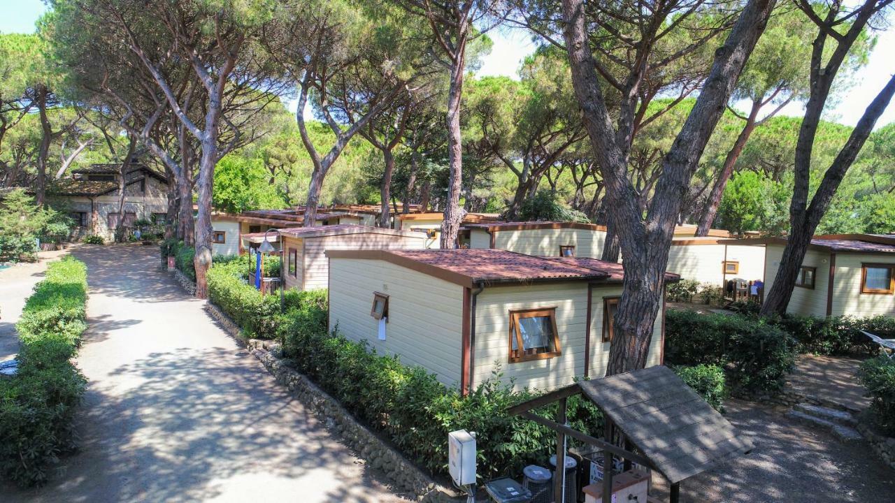 Le Esperidi Camping Ecoresort Marina Di Bibbona Zewnętrze zdjęcie